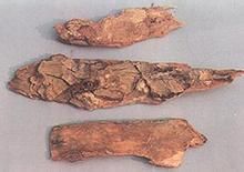 土荊皮粉 土荊皮粉