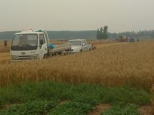 盤龍莊村 盤龍莊村