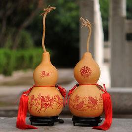 觀賞葫蘆 觀賞葫蘆