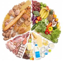 蛋白質互補 蛋白質互補