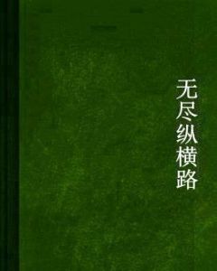 無盡縱橫路 無盡縱橫路