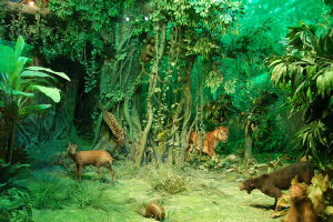 吉林省自然博物館