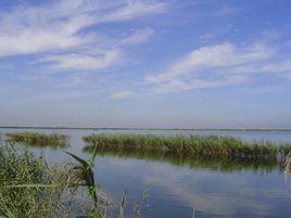 寧河七裏海 寧河七裏海