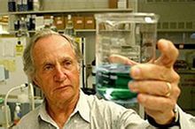 魯福魯卡斯博士