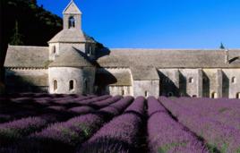 塞南克修道院 塞南克修道院