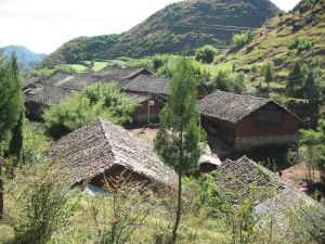 雷家坡村 雷家坡村