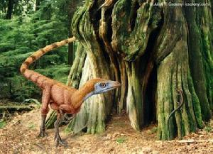 雜食性恐龍圖片集粹