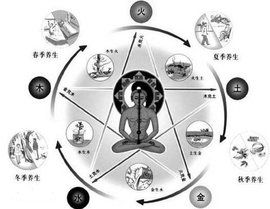 藏象學說 藏象學說