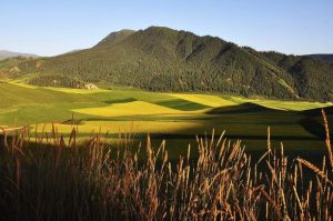 祁連山國家公園 祁連山國家公園