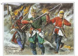 蘇丹親兵 蘇丹親兵