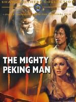 《猩猩王》 《猩猩王》