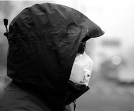 有機粉塵毒性綜合徵 有機粉塵毒性綜合徵