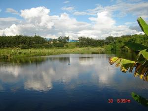 幫長自然村 幫長自然村