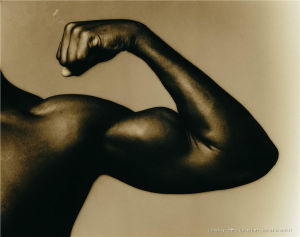 肱二頭肌 肱二頭肌