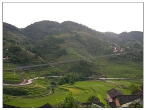 新田寨自然村 新田寨自然村