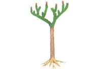 擬仙人掌鱗木 擬仙人掌鱗木