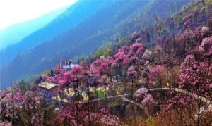 九皇山猿王洞 九皇山猿王洞