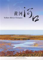黃河河口 黃河河口