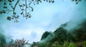 宛若仙境、頤養天堂、大美南陽！