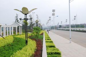 王村新修建的馬路和太陽能路燈