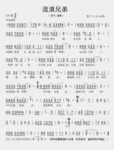 流浪兄弟 流浪兄弟