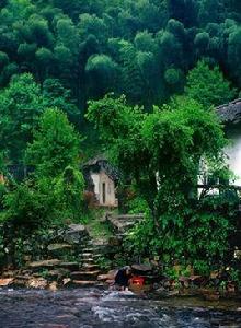 中國貧困標準 中國貧困標準