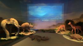 黃河形成場景 黃河形成場景