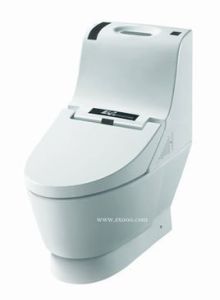 虹吸式馬桶 虹吸式馬桶