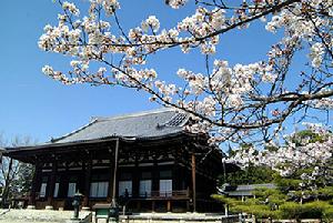 金戒光明寺 毘沙門堂