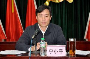 寧小平[廣西自治區紀委駐自治區公安廳紀檢組原組長]