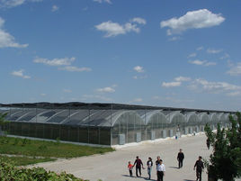 黃河入海口生態農業觀光園