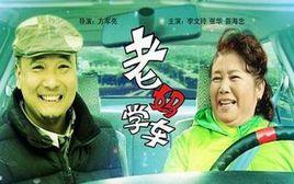 老媽學車 老媽學車