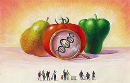 轉基因食品爭議 轉基因食品爭議