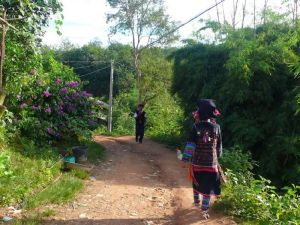 龍秋大寨村 龍秋大寨村