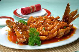 金絲鯉魚 金絲鯉魚