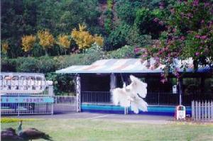 大聖渡假遊樂世界 大聖渡假遊樂世界