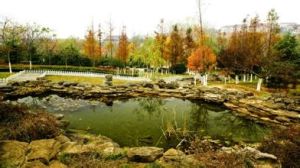 青島太平角公園 青島太平角公園