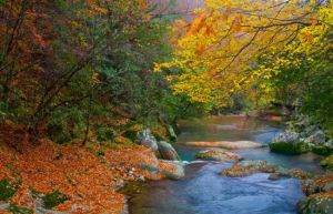 光霧山桃園 光霧山桃園