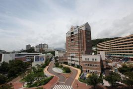 韓國慶星大學 韓國慶星大學