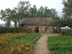 茅草莊村 茅草莊村