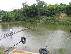 親親農莊 親親農莊