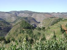 唐家梁子自然村