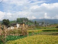 段家村自然村 段家村自然村