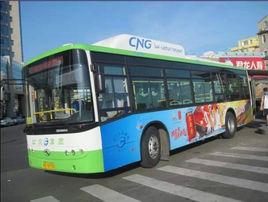 廈門19B路 廈門19B路