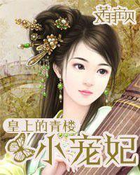 皇上的青樓小寵妃 皇上的青樓小寵妃