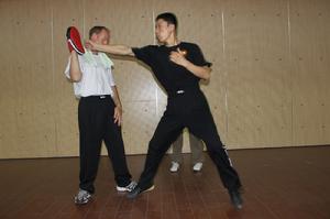 張安邦示範推步直衝捶