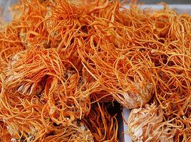 蟲草香菇多糖口服液 蟲草香菇多糖口服液