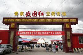 青泉戰國紅交易市場 青泉戰國紅交易市場