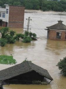 自然災害 自然災害