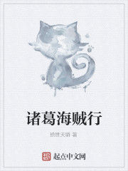 諸葛海賊行 諸葛海賊行